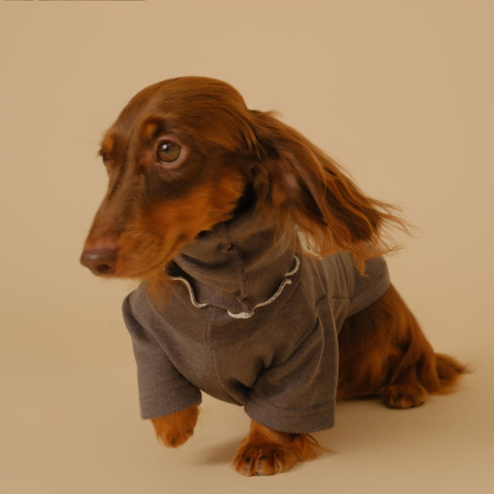 Pet Base Coat Dachshund Dog Clothing